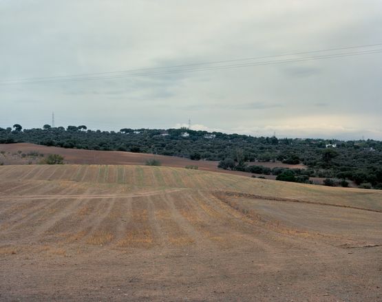 RidgeViewing the location of Mosquito Crest Battle of Brunete Spain by Tomoko Yoneda contemporary artwork Photography