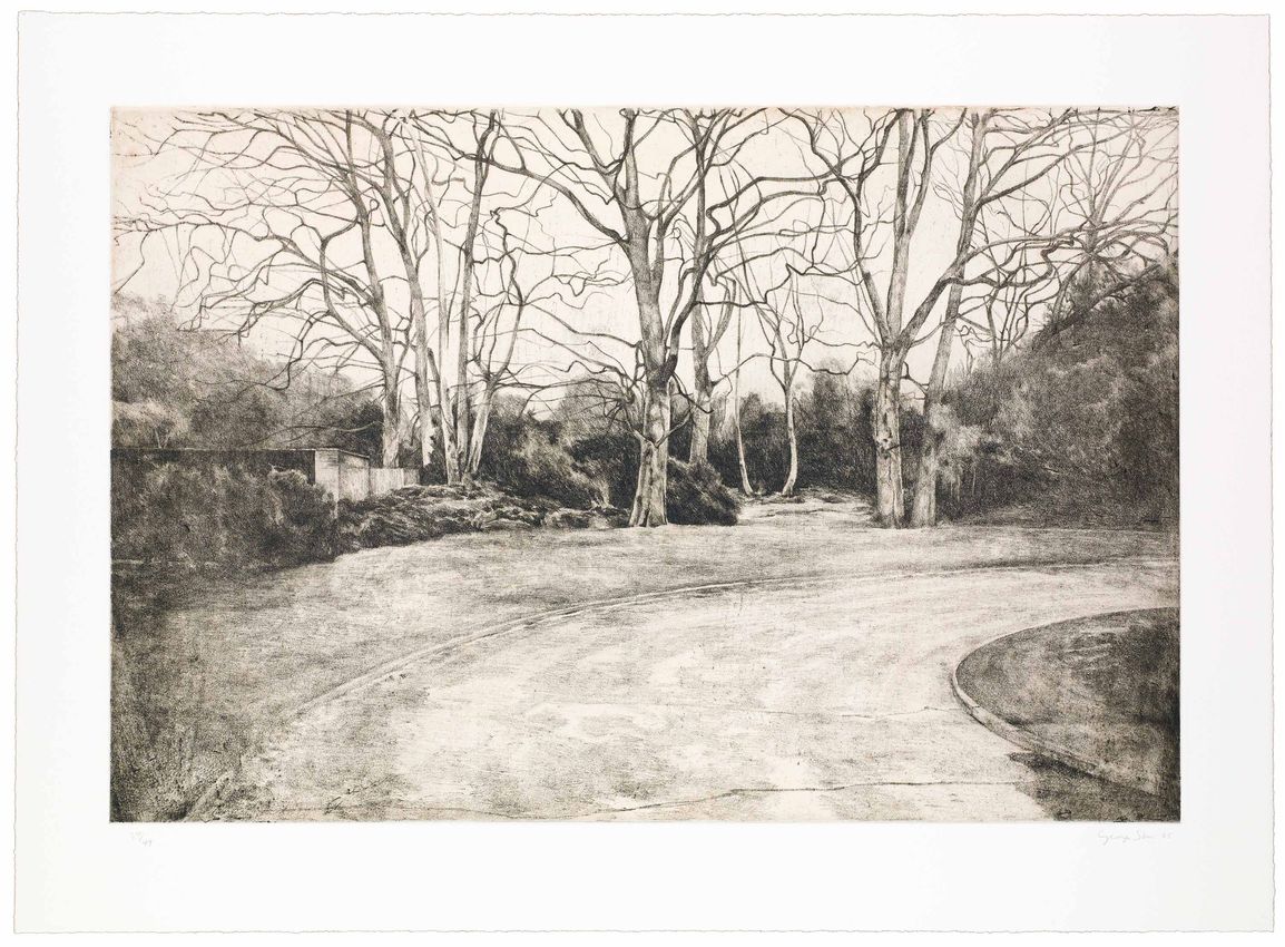 GEORGE SHAW