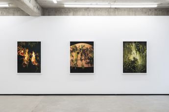 Contemporary art exhibition Ann Shelton Plants and parts of plants at Jhana Millers Wellington New Zealand
