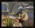 Rashida at her planet 1 Loud sirens of the Caspian bodies 3 series by Agil Abdullayev contemporary artwork Photography