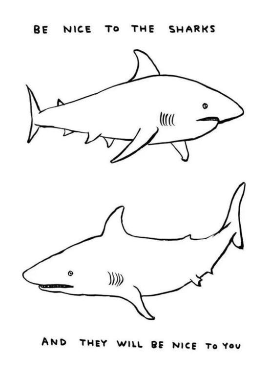 Untitled Be Nice to the Sharks by David Shrigley contemporary artwork Print
