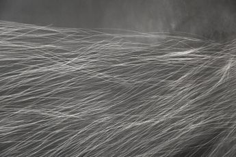 Contemporary art exhibition Anne Imhof Citizen at Spruth Magers London United Kingdom