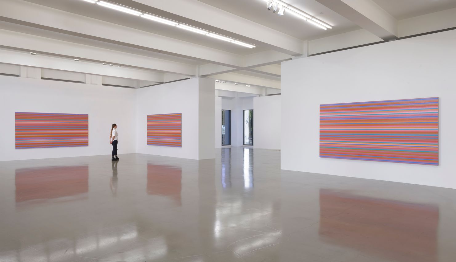 Bridget Riley