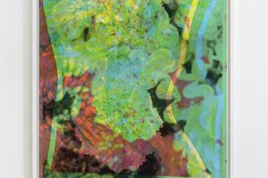 Wolfgang Tillmans