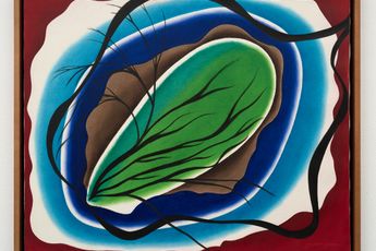 Paulina Peavy contemporary artist