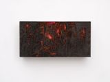 Night VisionChar 2 by Teresita Fernandez contemporary artwork painting sculpture