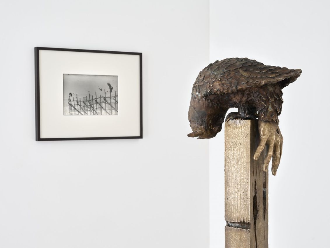 Group Exhibition