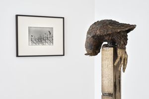 Group Exhibition