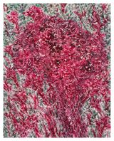 Mendrami by Jiwon Kim contemporary artwork painting