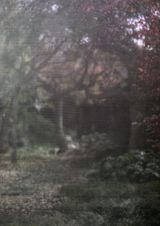 Screen by Flo Maak contemporary artwork photography print