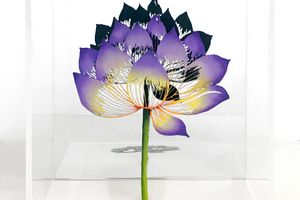 Zadok Ben-David
