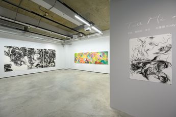 Contemporary art exhibition Emily Wang Tell Me a Story at TKG Projects TKG Projects Taipei Taiwan
