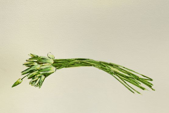 Sapla by Rathin Barman contemporary artwork Works on Paper