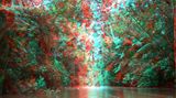 Information by Helio Oiticica and Lee Jaffe contemporary artwork photography