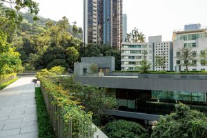 Asia Society Hong Kong contemporary art institution in Hong Kong