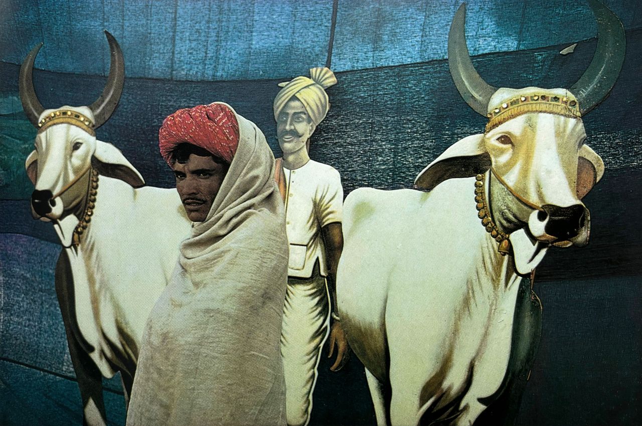 THE ESTATE OF RAGHUBIR SINGH