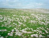 South of Zefat Israel by Stephen Shore contemporary artwork photography