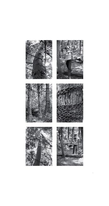 RiceTreeBurial Chaining the Sacred Forest by Agnes Denes contemporary artwork photography