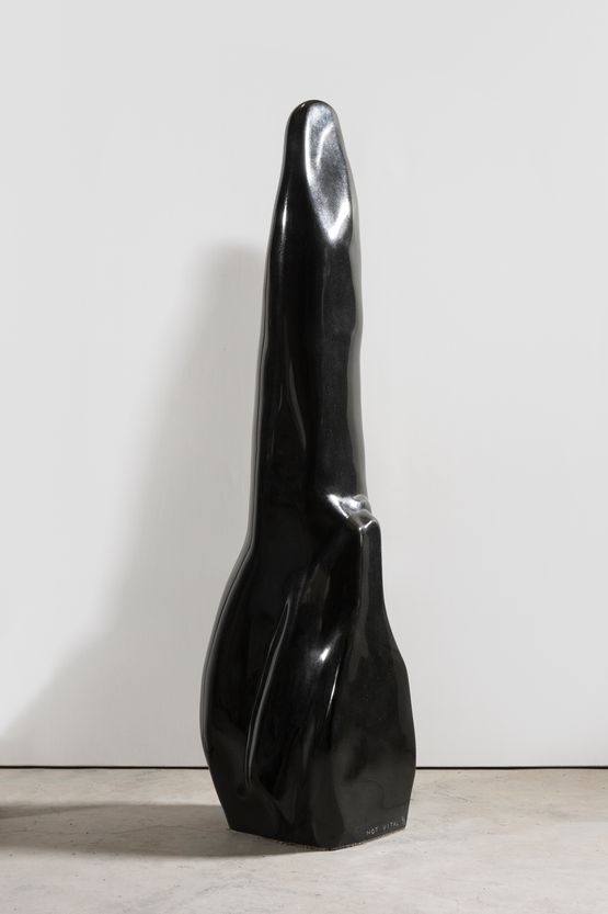 Tongue by Not Vital contemporary artwork Sculpture