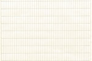 Agnes Martin