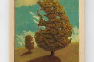 Jared Buckhiester