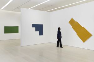 Robert Mangold
