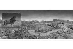 Nick Brandt
