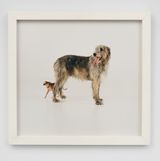 Work No. 748 by Martin Creed contemporary artwork photography