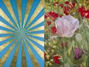 Afyon by Mustafa Hulusi contemporary artwork Print