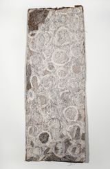 Untitled by Nyapanyapa Yunupiu contemporary artwork mixed media