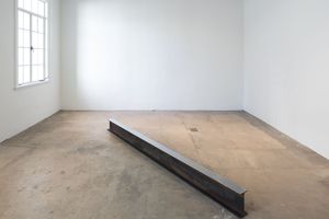 Ann Veronica Janssens