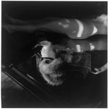 Untitled by Francesca Woodman contemporary artwork photography