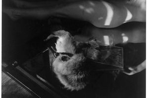 Francesca Woodman