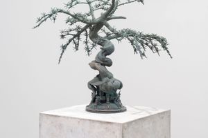 Timur Si-Qin