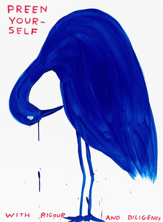 Preen Yourself by David Shrigley contemporary artwork Print