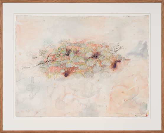 Burrowing bettong warren with one lone bilby burrow by John Wolseley contemporary artwork Works on Paper