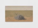 Drought by Serban Savu contemporary artwork painting