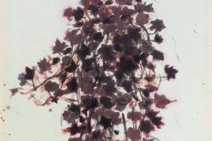 Wu Yiming
