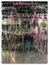 The retired television newsreader thought he was an instagram art expert and artist taking really expert photographs of rock pools by Dale Frank contemporary artwork painting