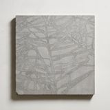 North American Douglas Fir No. 2 by Chiu Chen-Hung contemporary artwork print sculpture