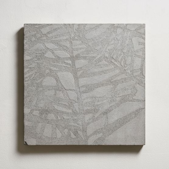 North American Douglas Fir No. 2 by Chiu Chen-Hung contemporary artwork Sculpture