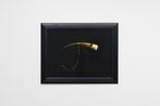 Huia Beak Brooch with thanks Te Manawa Museum New Zealand by Fiona Pardington contemporary artwork Print