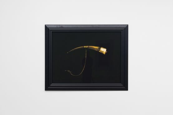 Huia Beak Brooch with thanks Te Manawa Museum New Zealand by Fiona Pardington contemporary artwork Print
