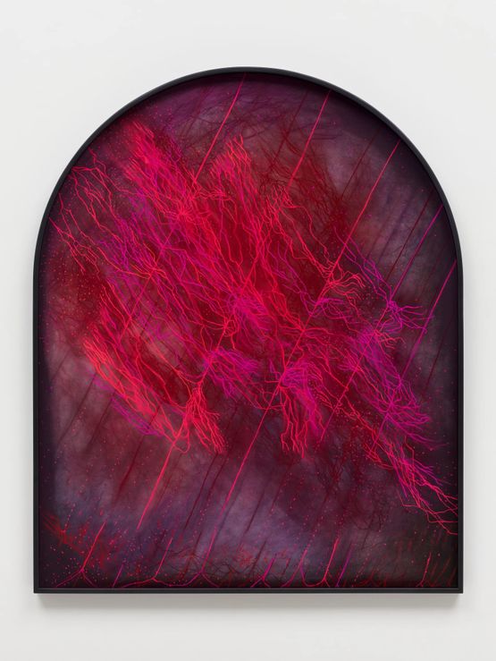 Noctilumen the radiance of thin roots lit by microbial films fragile strands glowing in absolute dark a refusal to disappear a brightness that exists only because darkness sharpens it. by Marguerite Humeau contemporary artwork Works on Paper