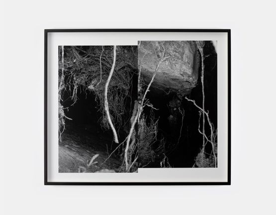 Inversion 2 by Willie Doherty contemporary artwork Print