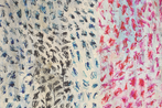 Masatoshi Masanobu contemporary artist