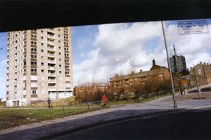 Tom Wood