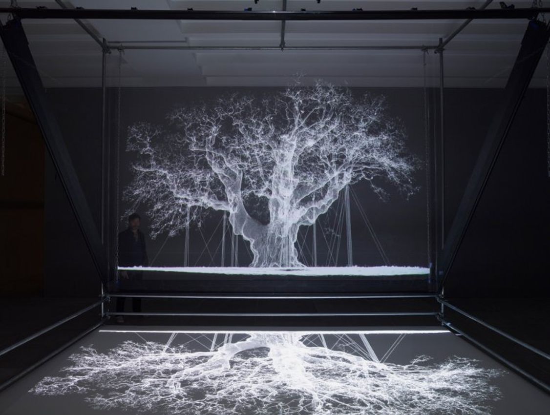 Mat Collishaw