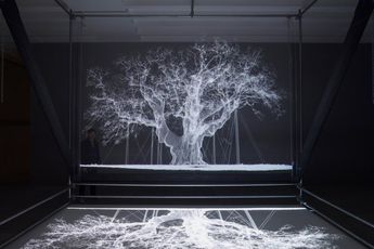 Contemporary art exhibition Mat Collishaw Albion at Gary Tatintsian Gallery Moscow Russia