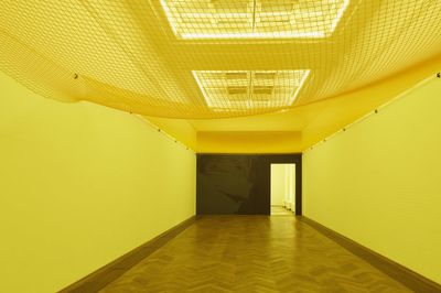 Who to See at Whitney Biennial 2024